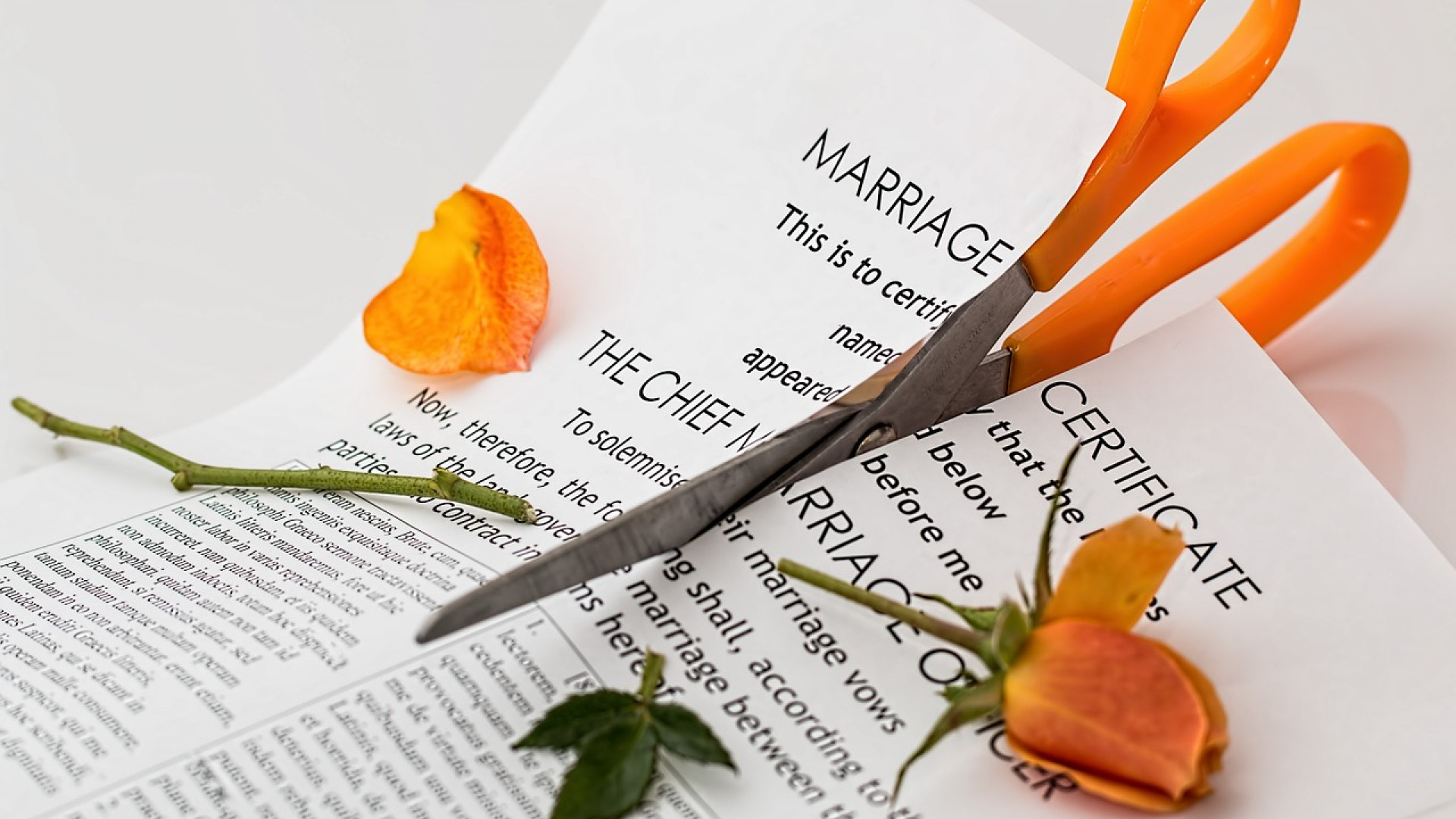 Quelles sont les différentes raisons de divorce dans un couple ?