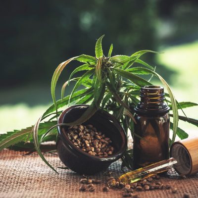 Consulter un blog pour tout connaître sur les graines de cannabis