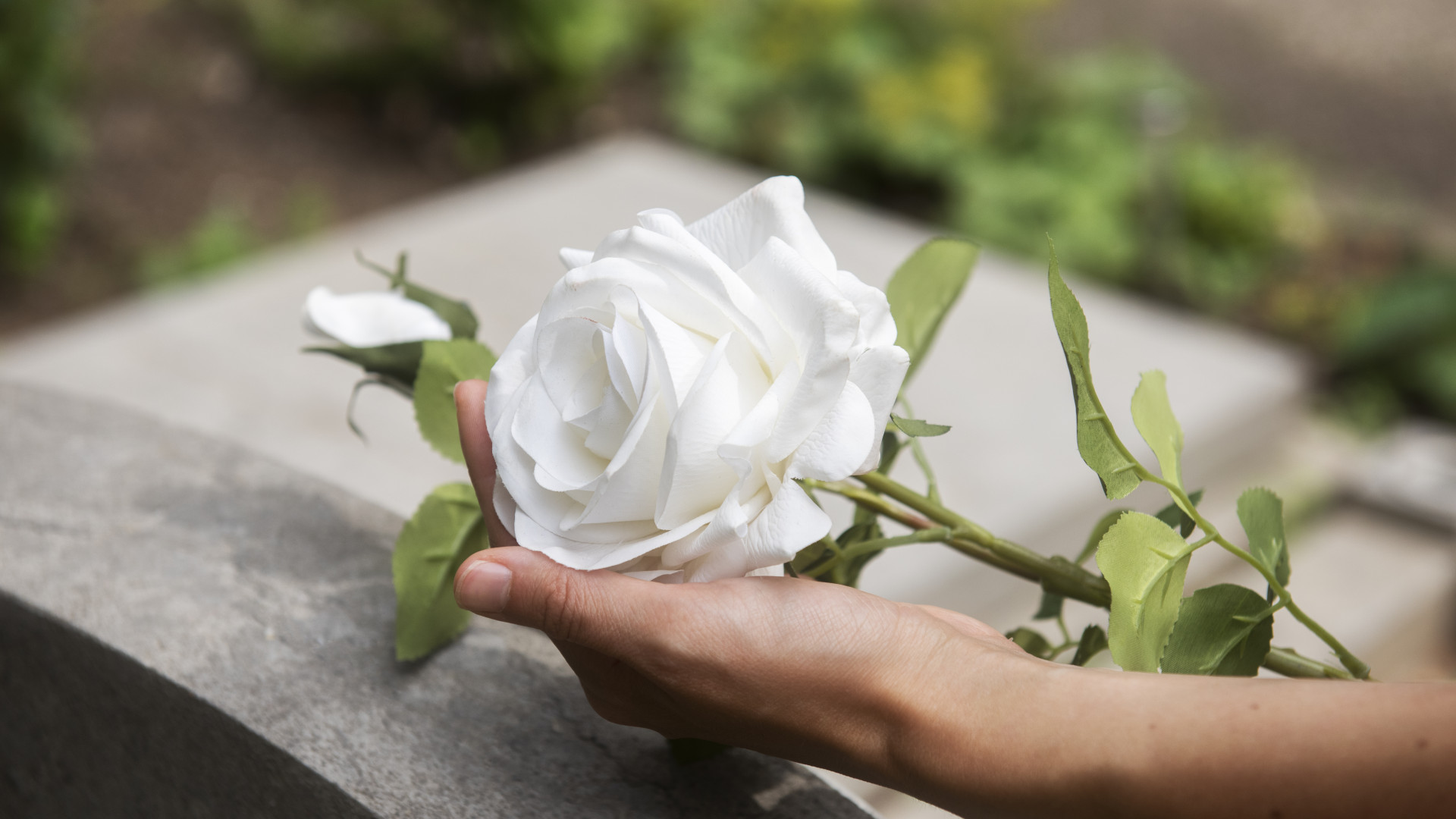 Pourquoi l’accompagnement humain est essentiel lors d’un décès ?